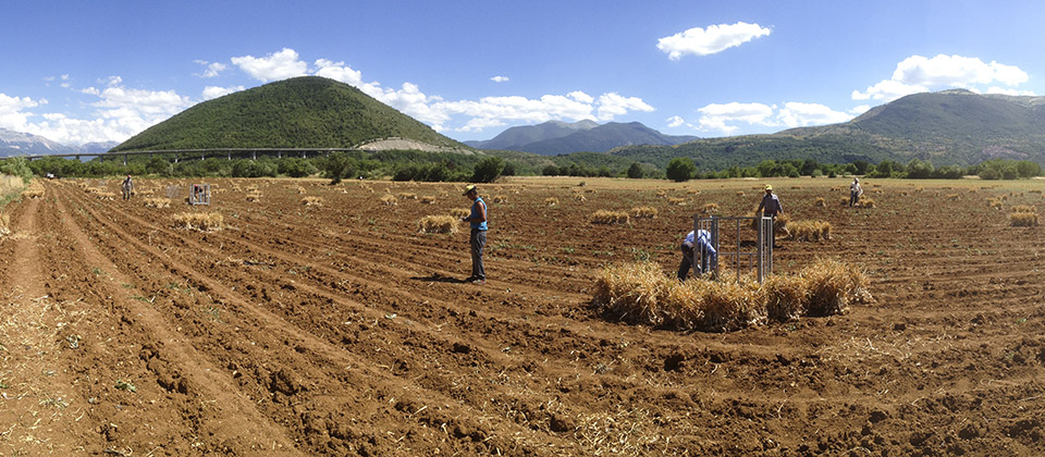 Azienda