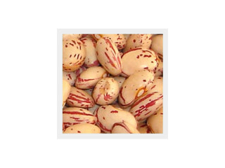 Fagioli a pane pratolano